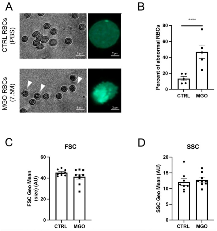 FIGURE 2