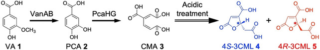 SCHEME 1