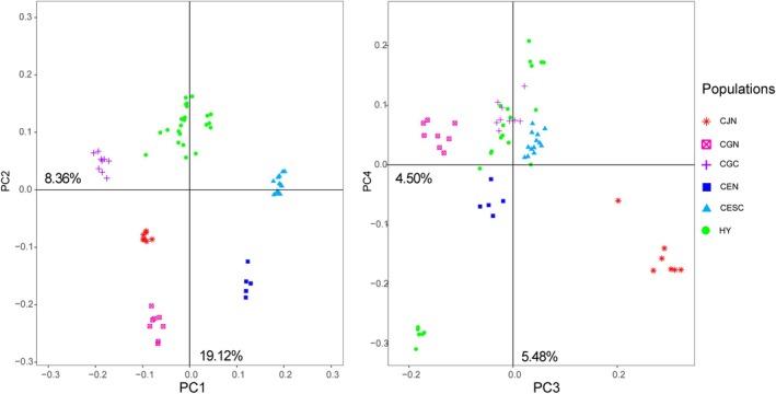 FIGURE 4