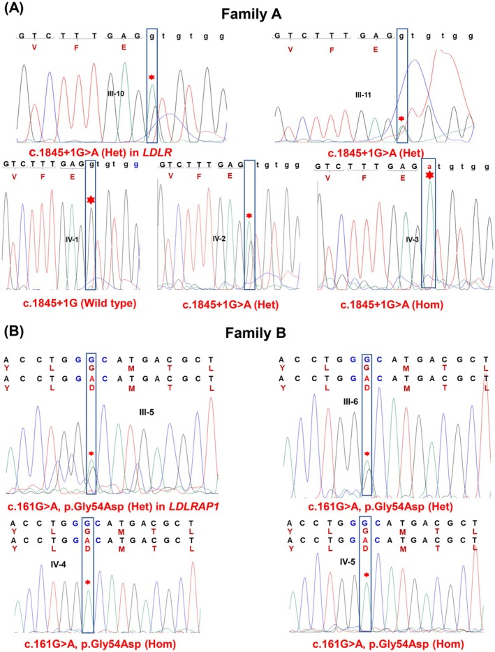 FIGURE 3