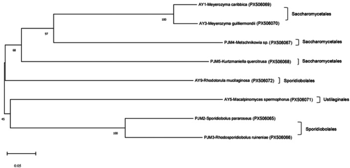 Figure 2