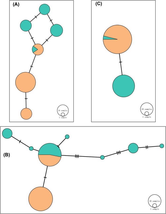FIGURE 3