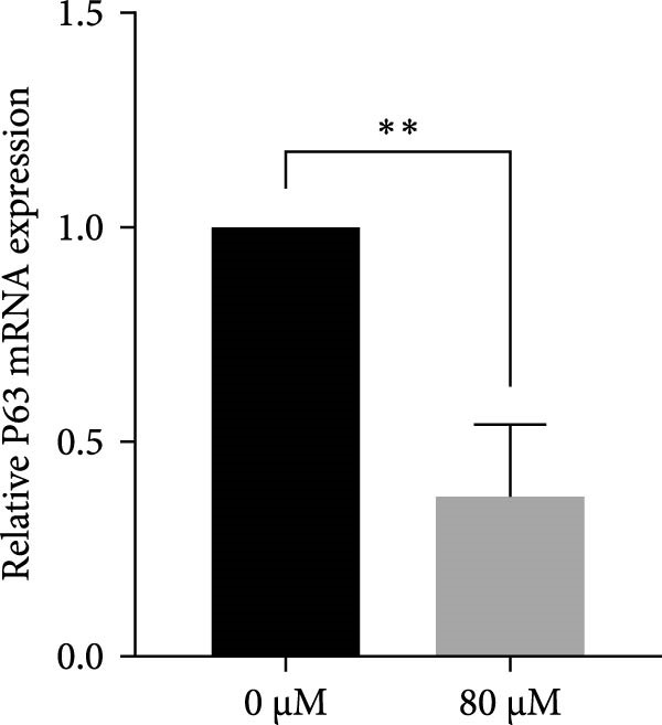 Figure 15