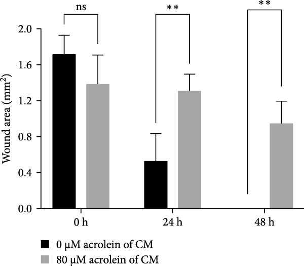 Figure 17