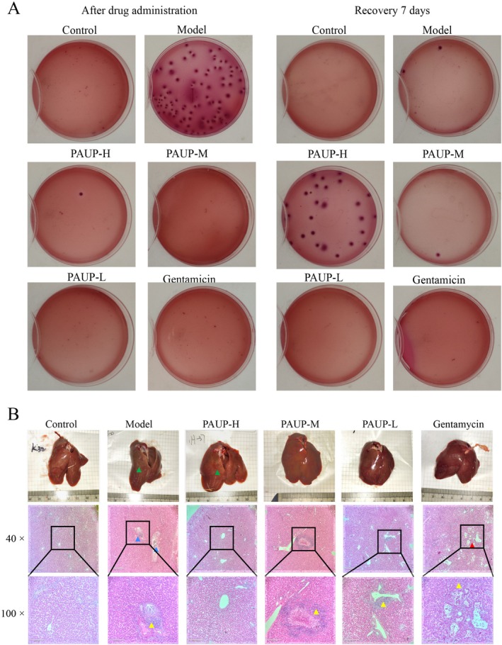 FIGURE 3