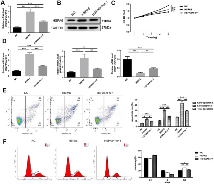 FIGURE 6