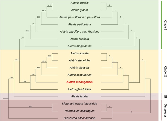 FIGURE 7