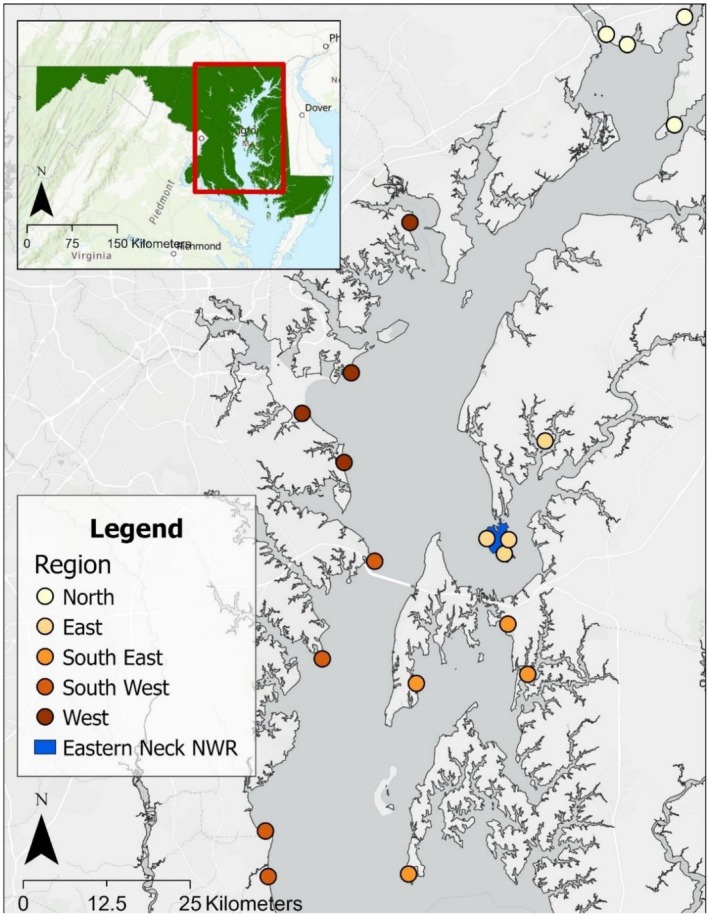 FIGURE 1