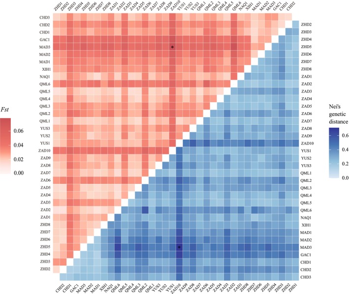FIGURE 2