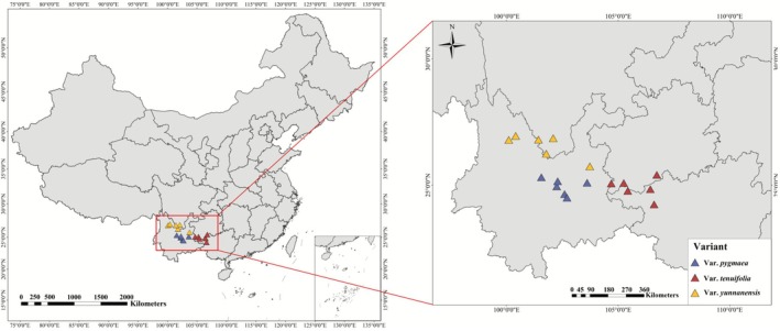 FIGURE 2