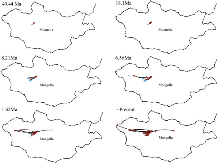 FIGURE 6