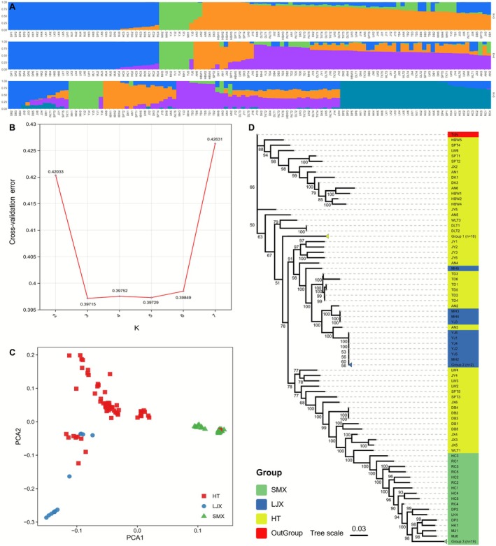 FIGURE 2