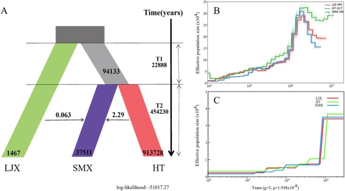 FIGURE 3