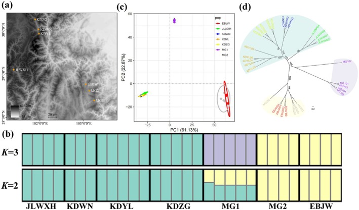 FIGURE 2