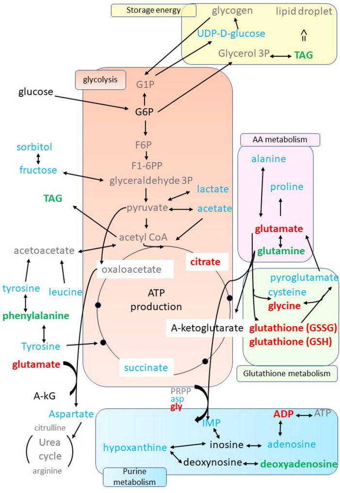 Figure 9