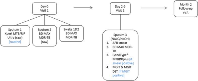 Fig 1