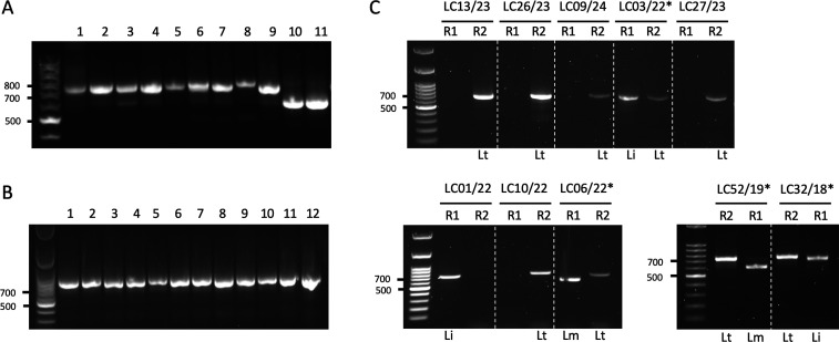 Fig 4