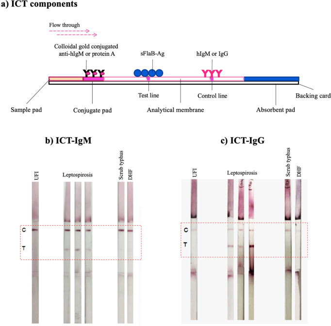 Fig 1