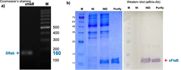 Fig 5