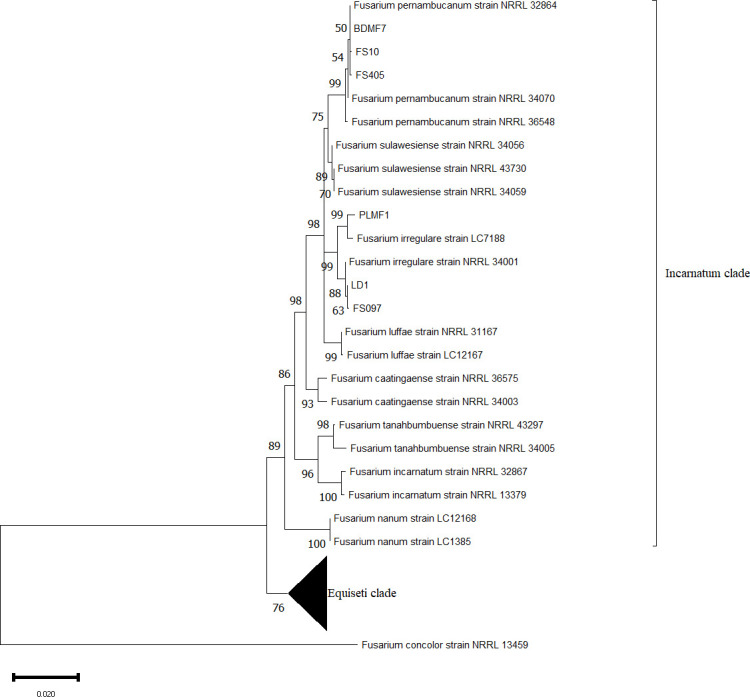 Fig 1