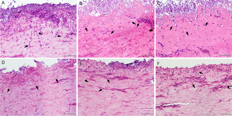 Fig 6