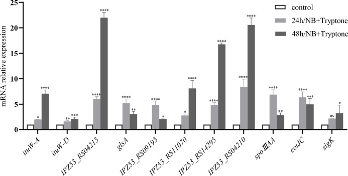 Fig 6