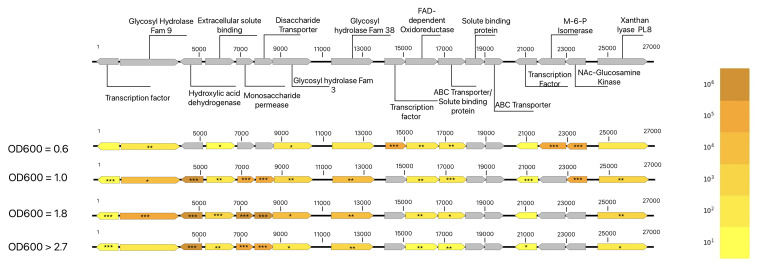 Fig 11