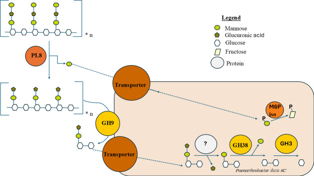 Fig 12