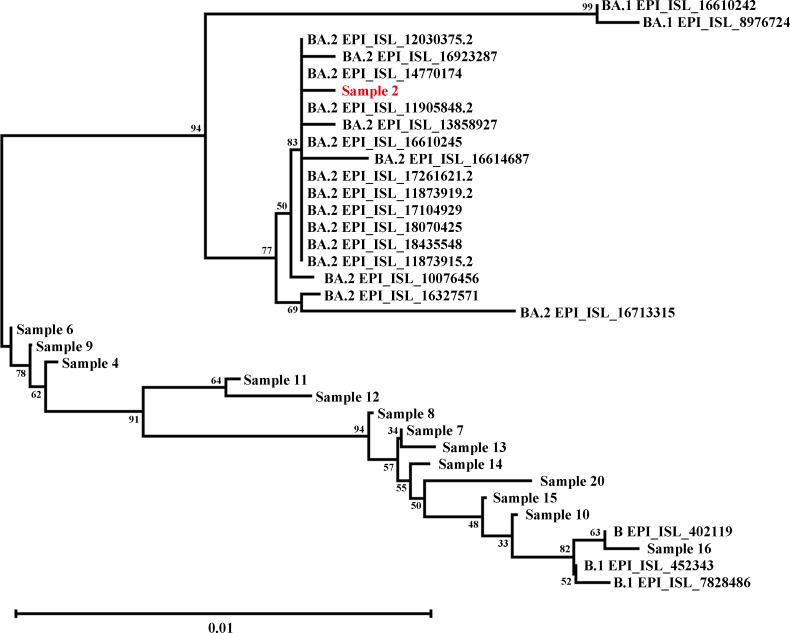 Fig 1