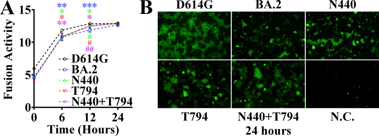 Fig 6