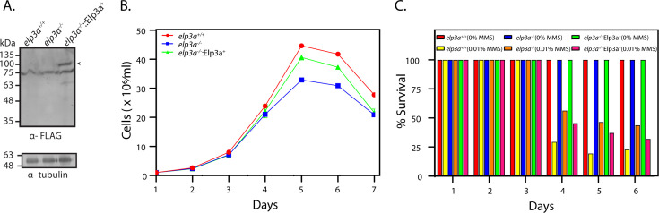 Fig 7