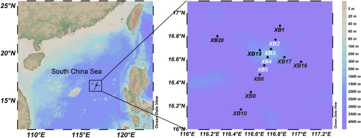 Fig 1