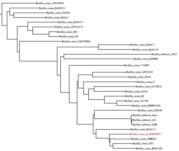 Fig 3