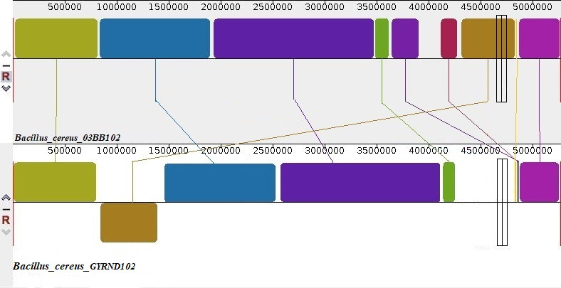 Fig 6