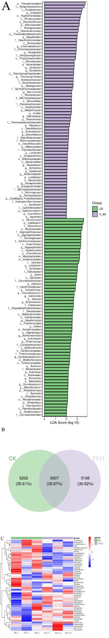 Fig 7