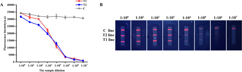 Fig 9