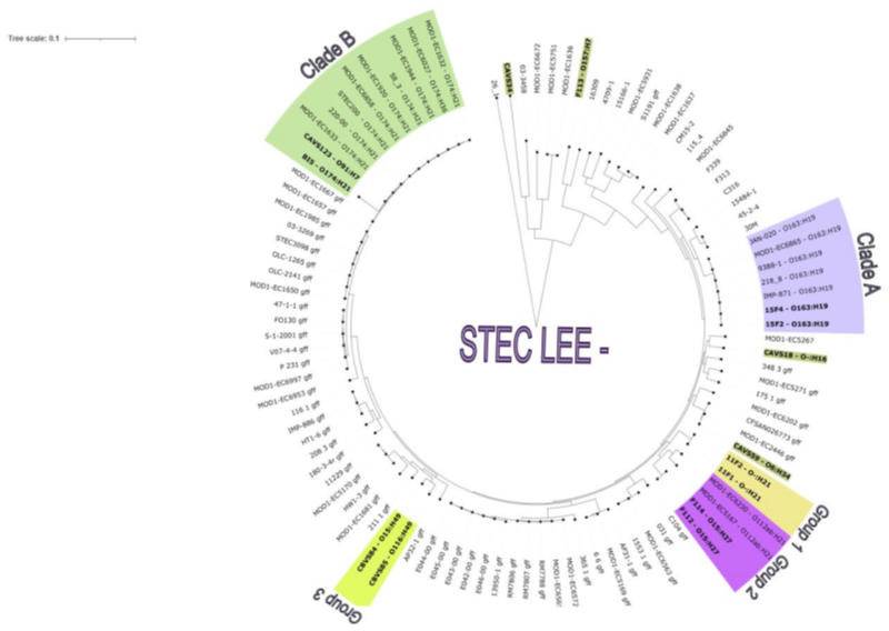 Fig 3
