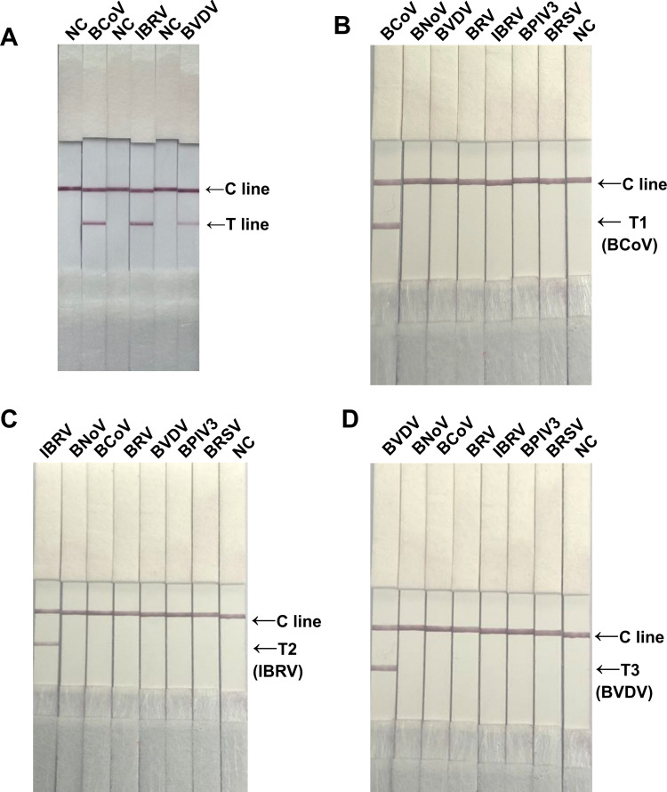 Fig 3