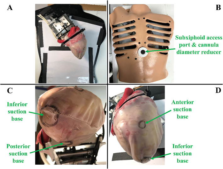 FIGURE 3