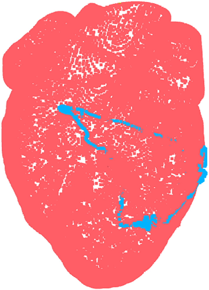 FIGURE 20