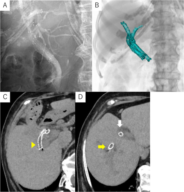 FIGURE 4