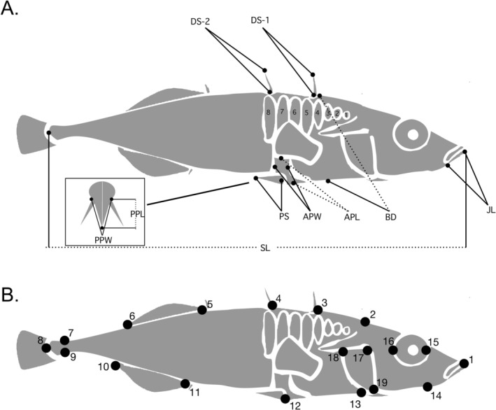 FIGURE 2