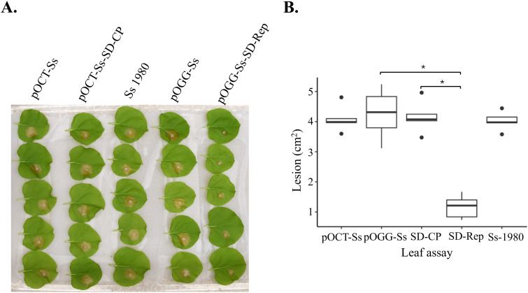 Fig 2