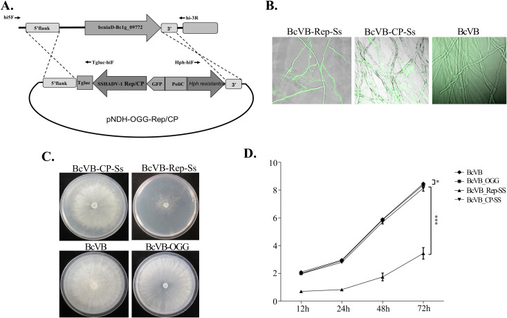 Fig 3