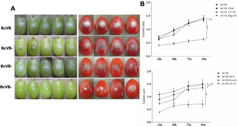 Fig 4