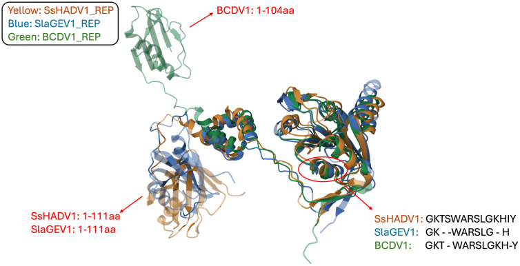 Fig 10