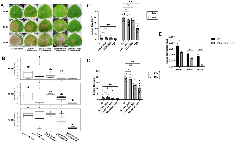 Fig 11