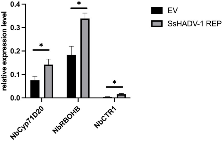 Fig 12