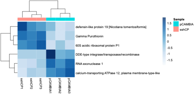 Fig 14