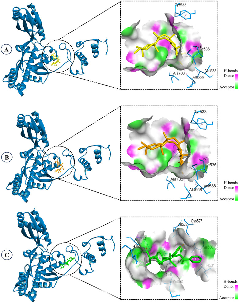 Fig 4
